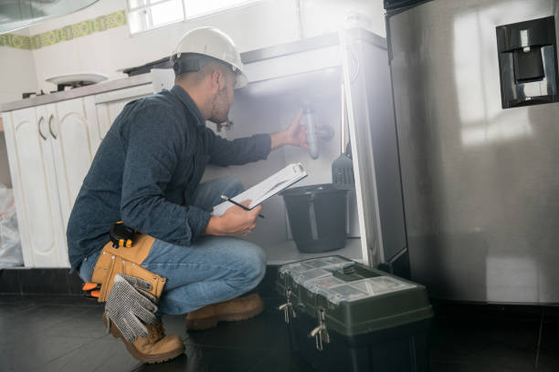 Best Toilet Repair Services  in Downers Grove, IL