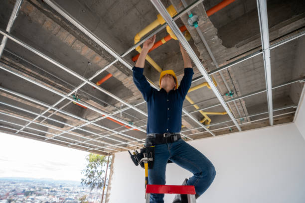 Best Plumbing Services Near Me  in Downers Grove, IL