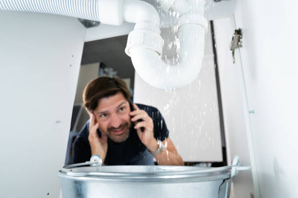 Best Local Plumber Services  in Downers Grove, IL