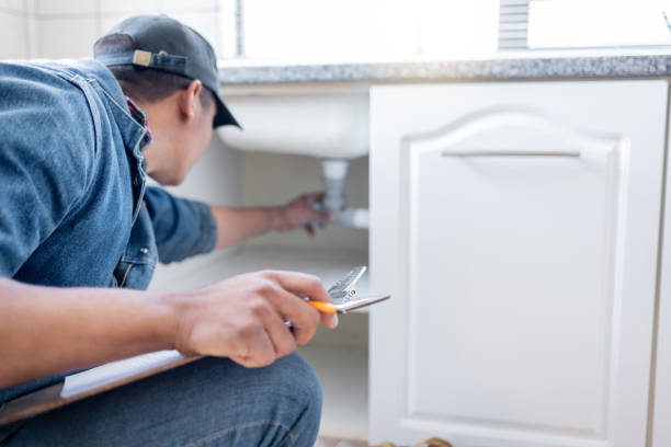 Best Shower Repair Services  in Downers Grove, IL