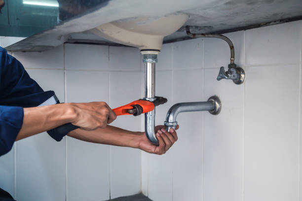 Best Sewer Line Repair  in Downers Grove, IL
