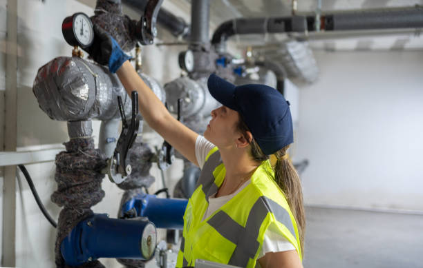 Best Residential Plumbing Services  in Downers Grove, IL